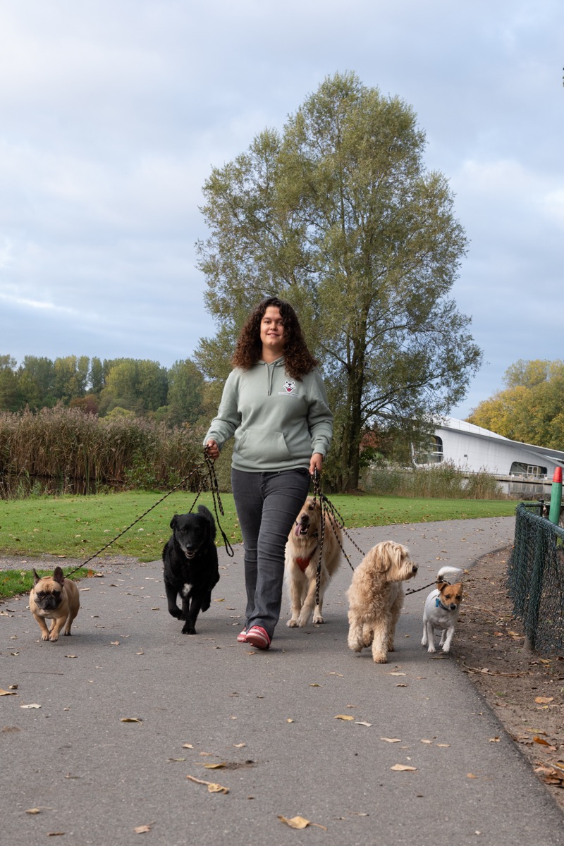 Hondenuitlaatservice Hoofddorp Lois