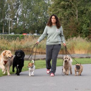 Lois hondenuitlaatservice Hoofddorp