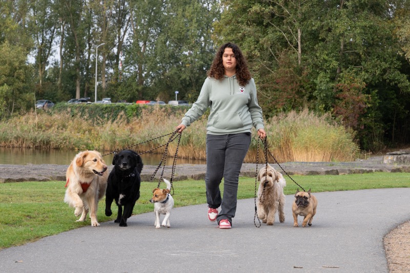 Lois hondenuitlaatservice Hoofddorp